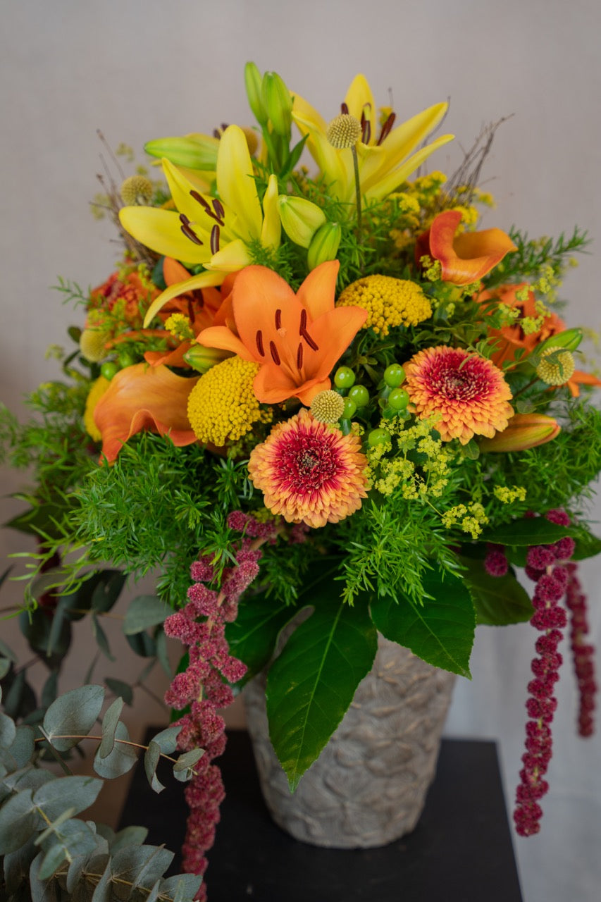 Blumenpracht