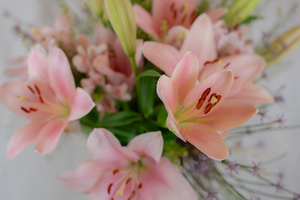 Blumenparty