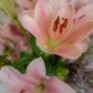 Blumenparty