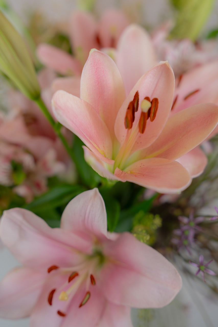 Blumenparty