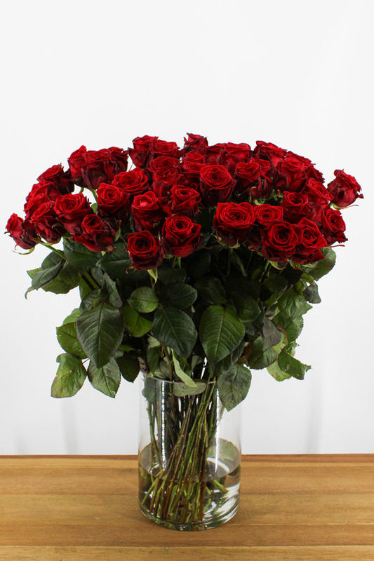 Rote Rose ( Red Naomi )